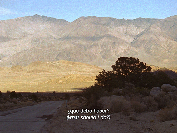 laida-lertxundi-3-pt laida-lertxundi-3-pt